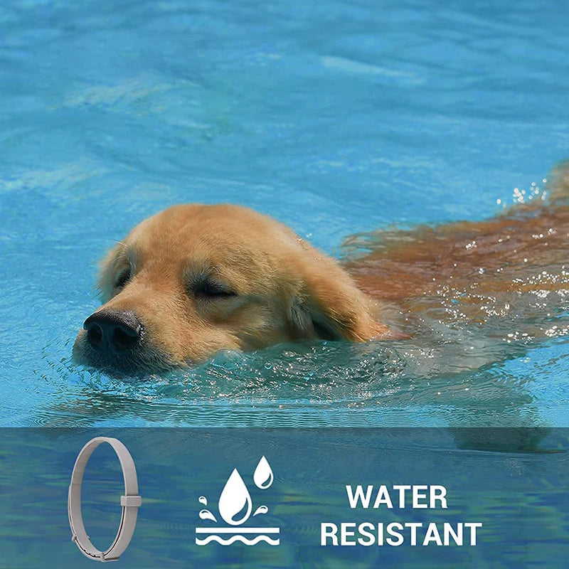 Anti-Flea & Tick Waterproof Collar for Dogs & Cats - 8-Month Protection