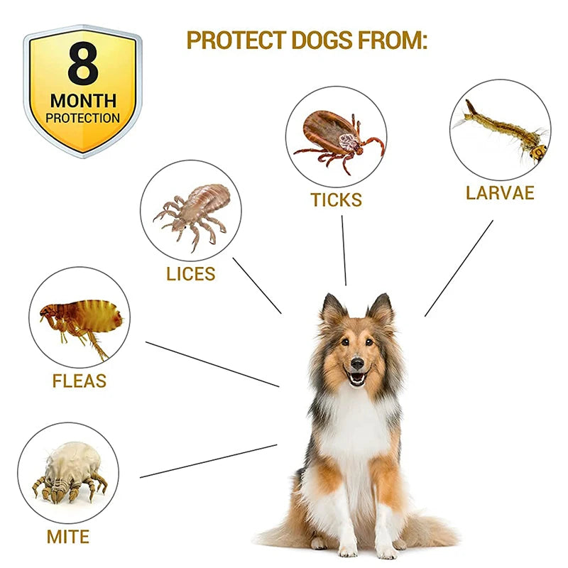 Anti-Flea & Tick Waterproof Collar for Dogs & Cats - 8-Month Protection