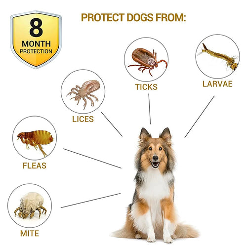 Anti-Flea & Tick Waterproof Collar for Dogs & Cats - 8-Month Protection